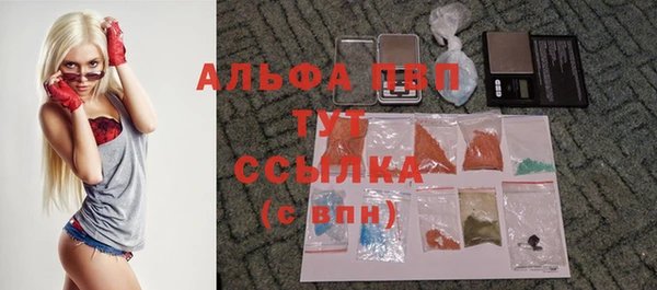 гашик Алексеевка