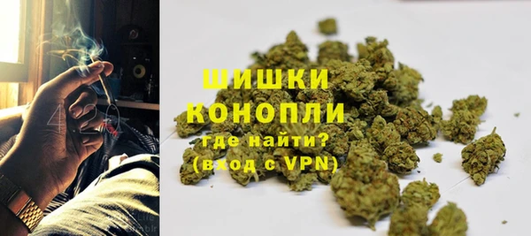 молекула духа Елабуга