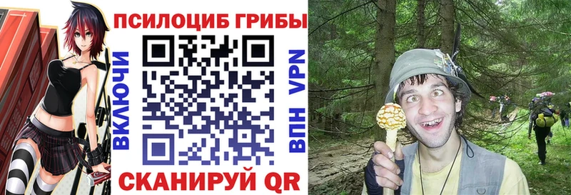 где купить наркоту  ссылка на мегу ССЫЛКА  Псилоцибиновые грибы мицелий  Спасск-Рязанский 